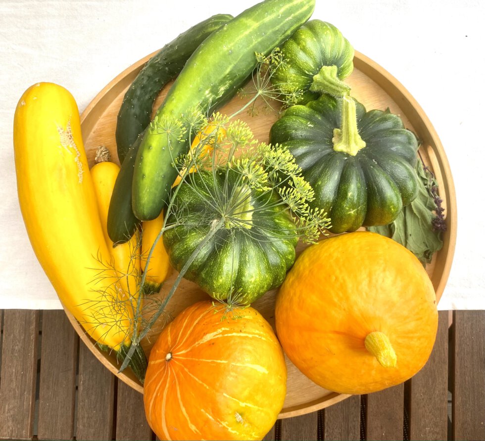 Erfrischende ZucchiniGlasnudelBowl mit Minze simdosha